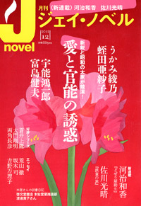  月刊J-novel2012年12月号
