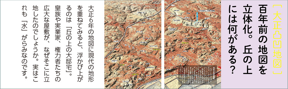 カラー版　「水」が教えてくれる東京の微地形の秘密サンプルイメージ2