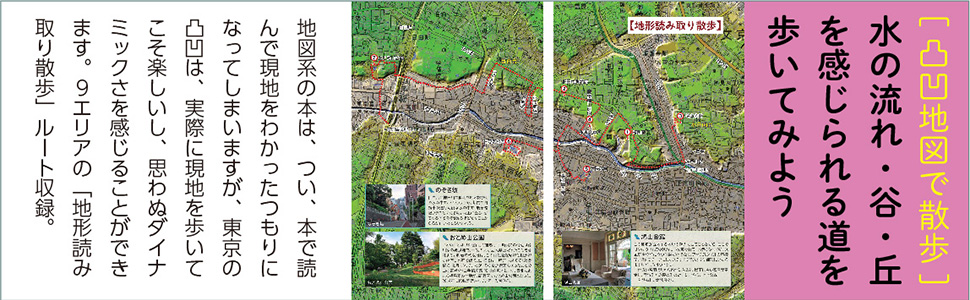 カラー版　「水」が教えてくれる東京の微地形の秘密サンプルイメージ3