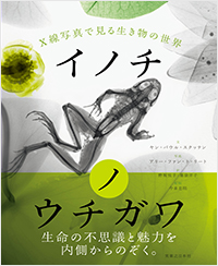  イノチノウチガワ